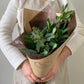 Just The Greens Handtied Bouquet